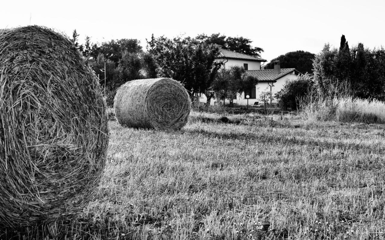 Orti Di Capalbio Villa Exteriör bild