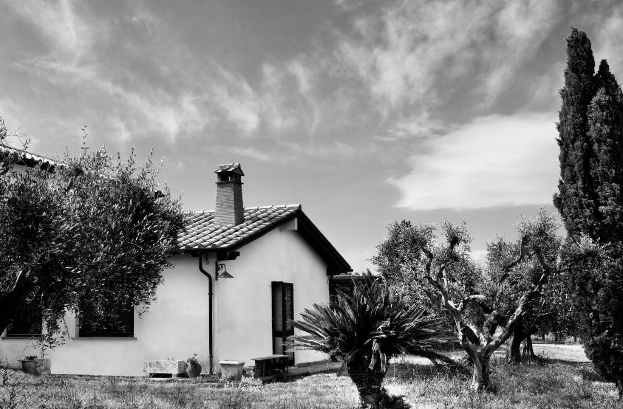 Orti Di Capalbio Villa Exteriör bild